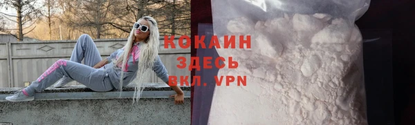 крисы Абаза