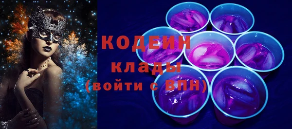 крисы Абаза