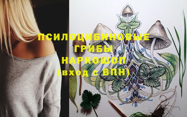 крисы Абаза