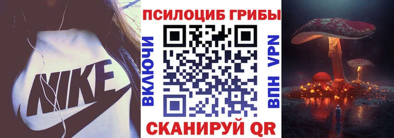 Галлюциногенные грибы Psilocybe  MEGA ONION  Ядрин 